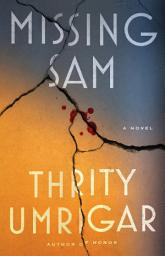 Icon image Missing Sam: A Novel